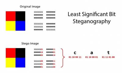 Slika 1. LSB [2]