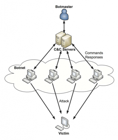  Network structure of a botnet [6]